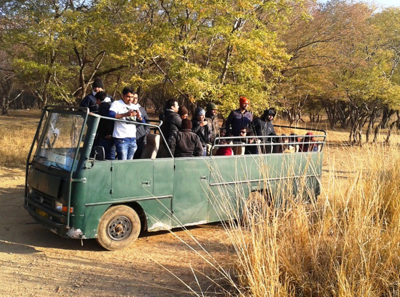 luxury resort in ranthambore