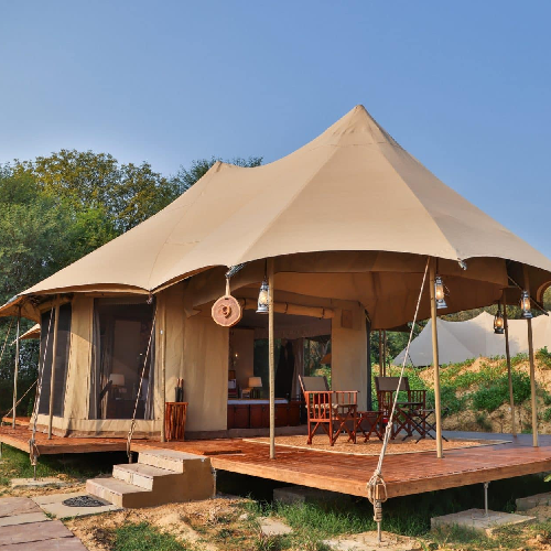 Luxury Camping Tent in Pine Forest